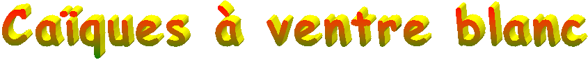 Bienvenue