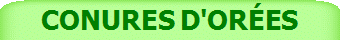 CONURES D'ORES