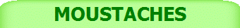 MOUSTACHES