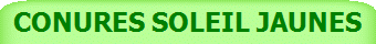 CONURES SOLEIL JAUNES