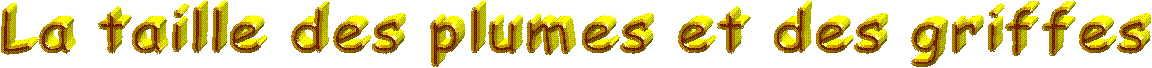 Bienvenue
